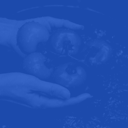 Limpieza y desinfección de alimentos